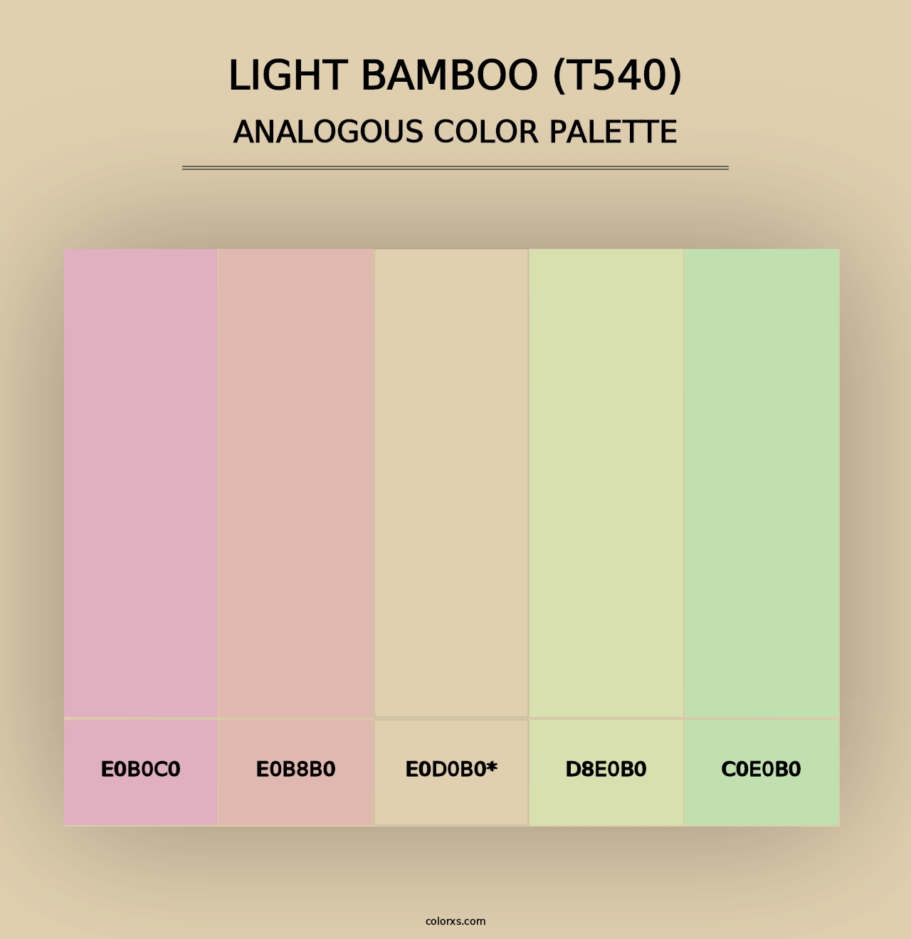 Light Bamboo (T540) - Analogous Color Palette