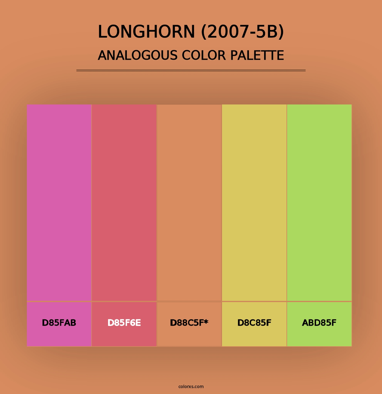 Longhorn (2007-5B) - Analogous Color Palette