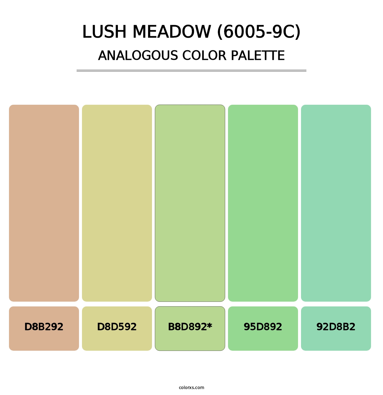 Lush Meadow (6005-9C) - Analogous Color Palette