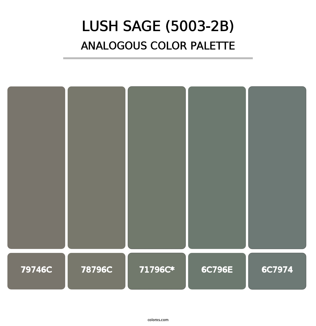 Lush Sage (5003-2B) - Analogous Color Palette