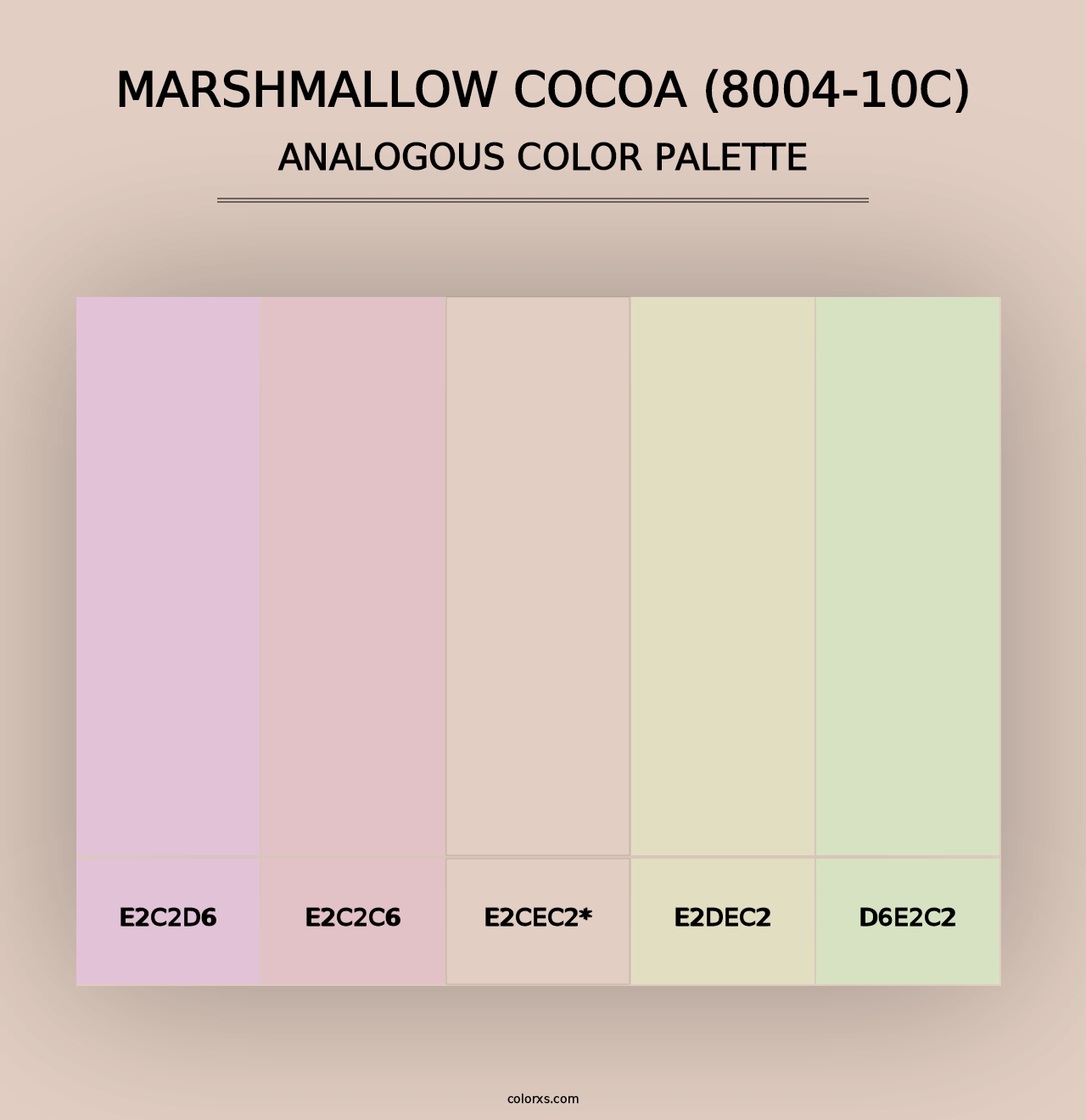 Marshmallow Cocoa (8004-10C) - Analogous Color Palette