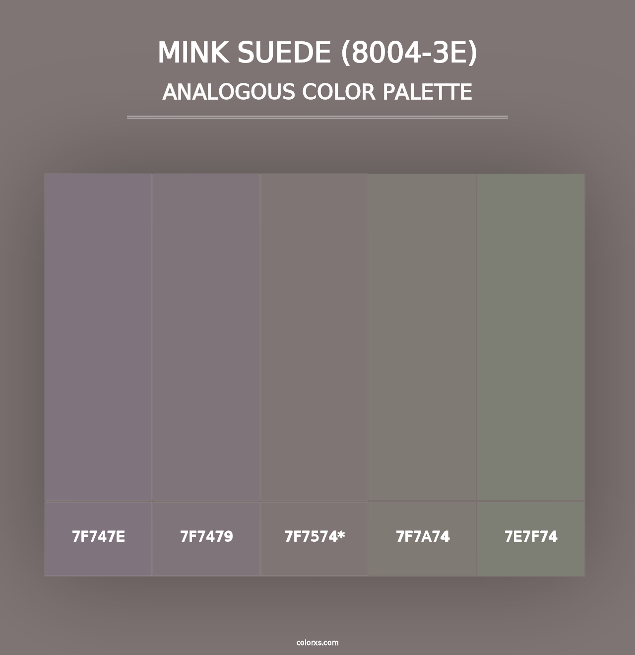 Mink Suede (8004-3E) - Analogous Color Palette