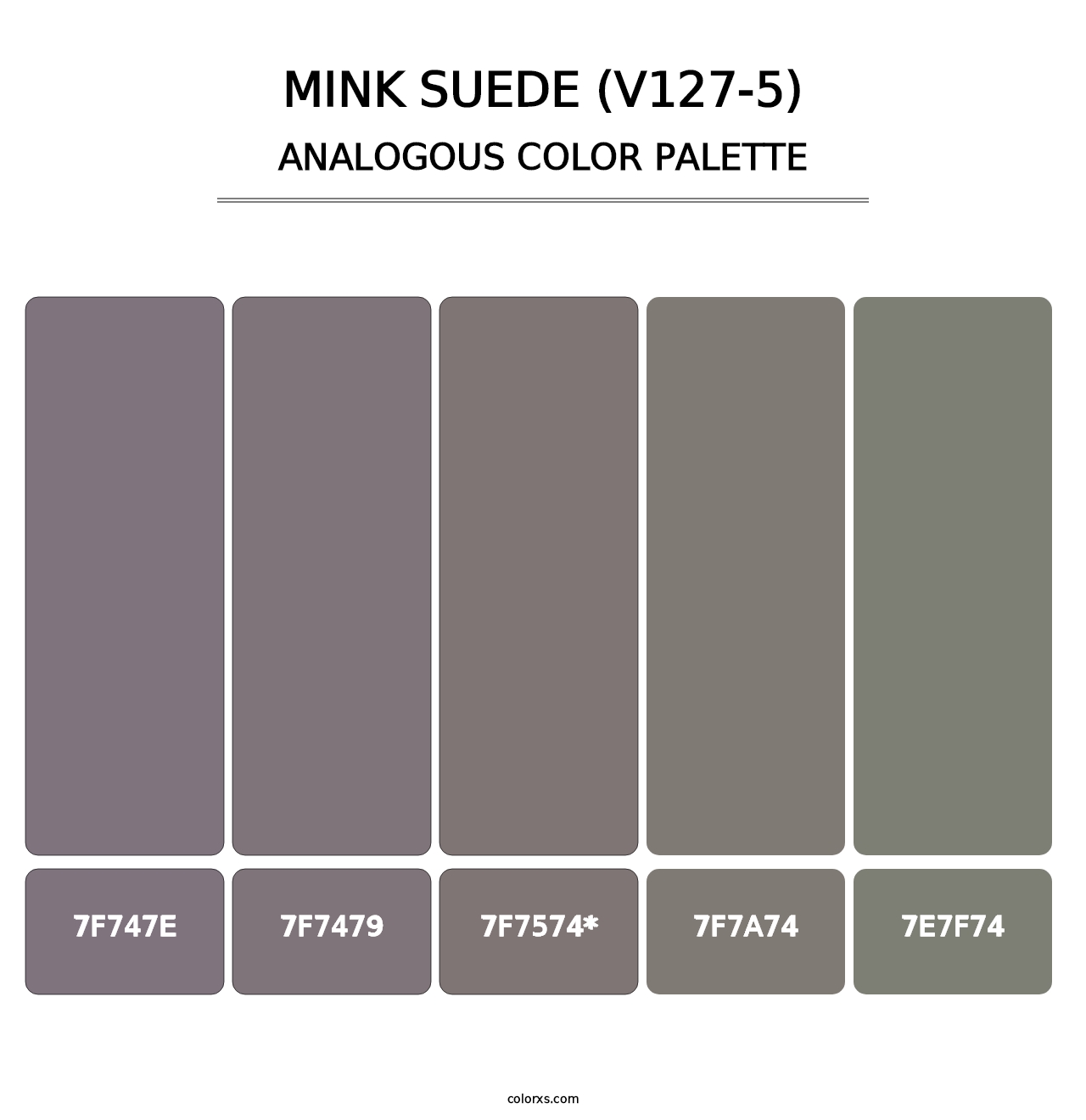 Mink Suede (V127-5) - Analogous Color Palette