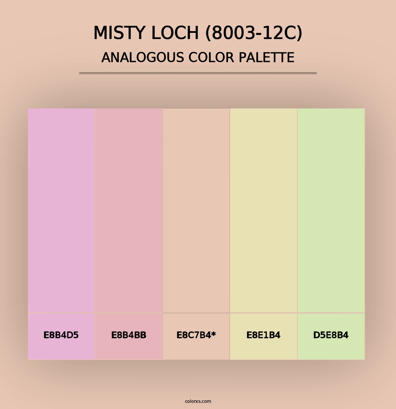 Misty Loch (8003-12C) - Analogous Color Palette