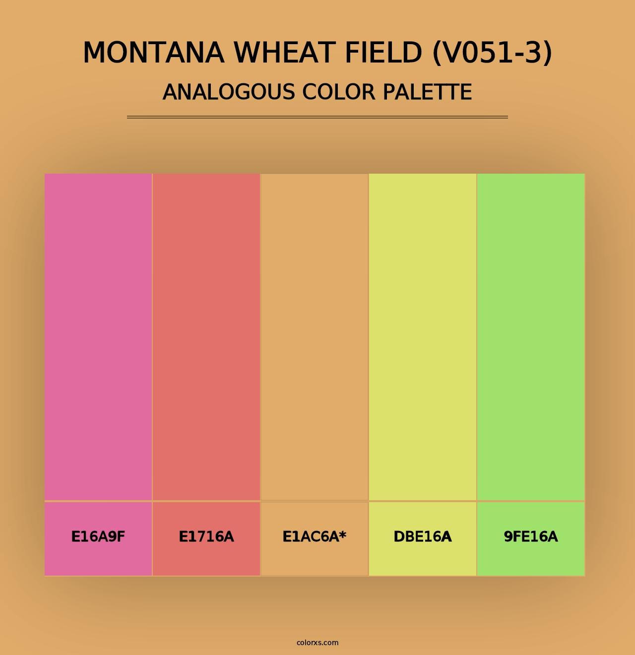 Montana Wheat Field (V051-3) - Analogous Color Palette