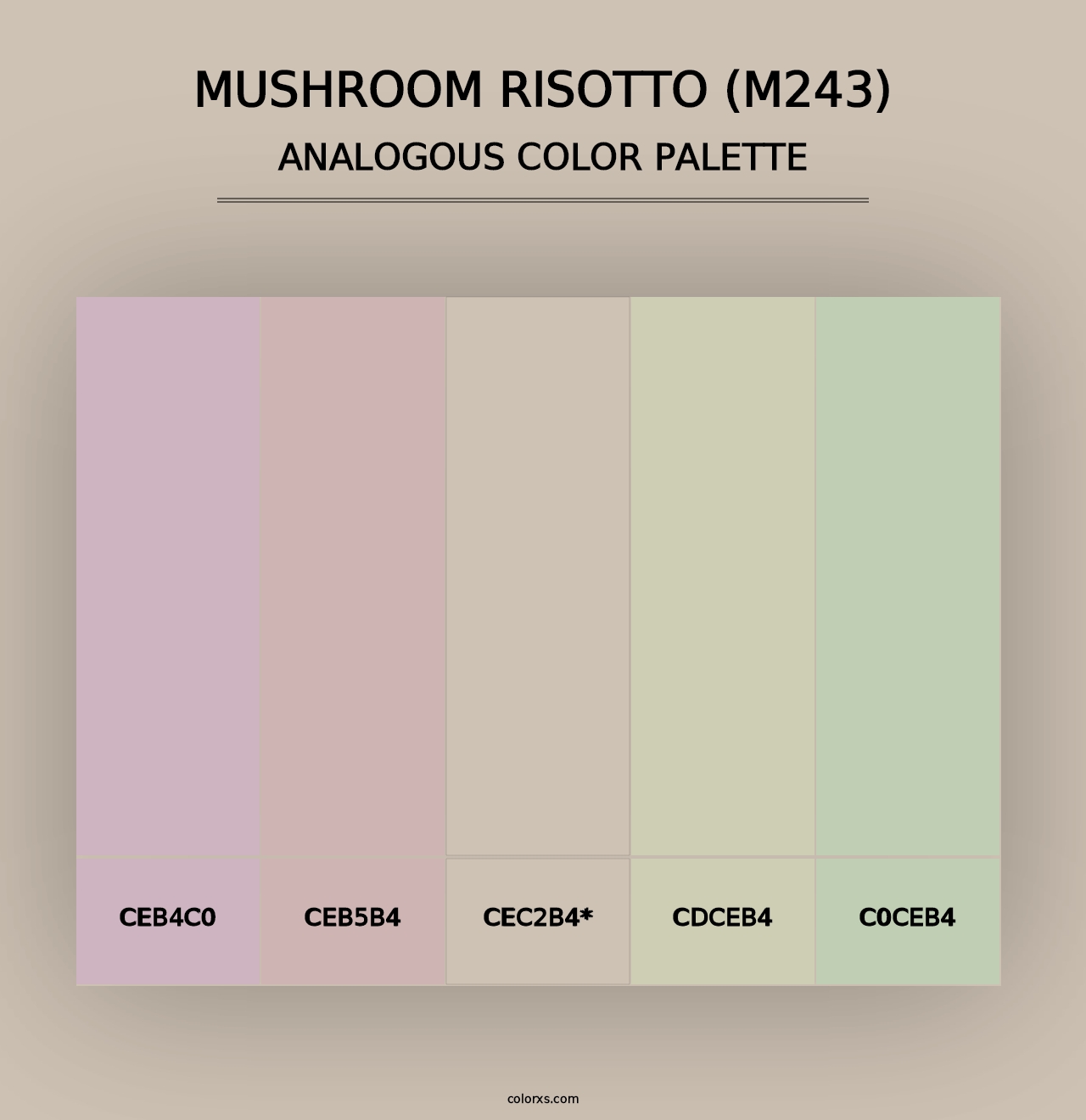 Mushroom Risotto (M243) - Analogous Color Palette