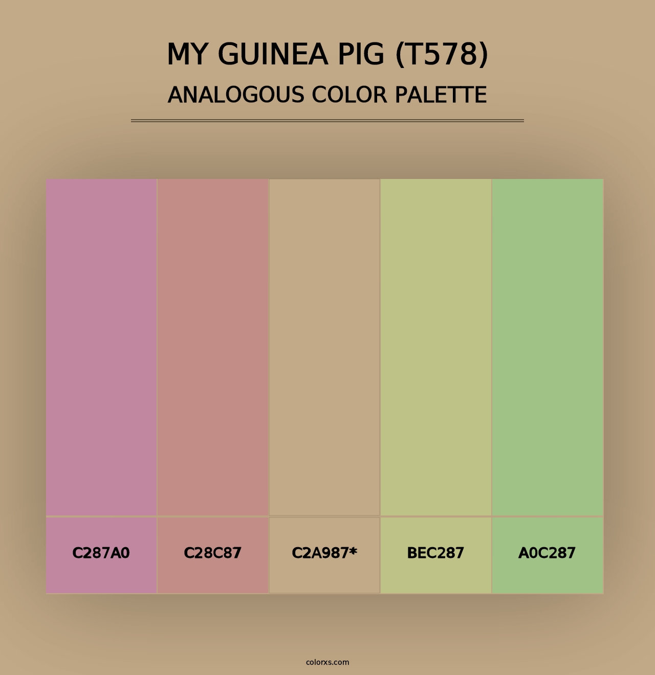 My Guinea Pig (T578) - Analogous Color Palette