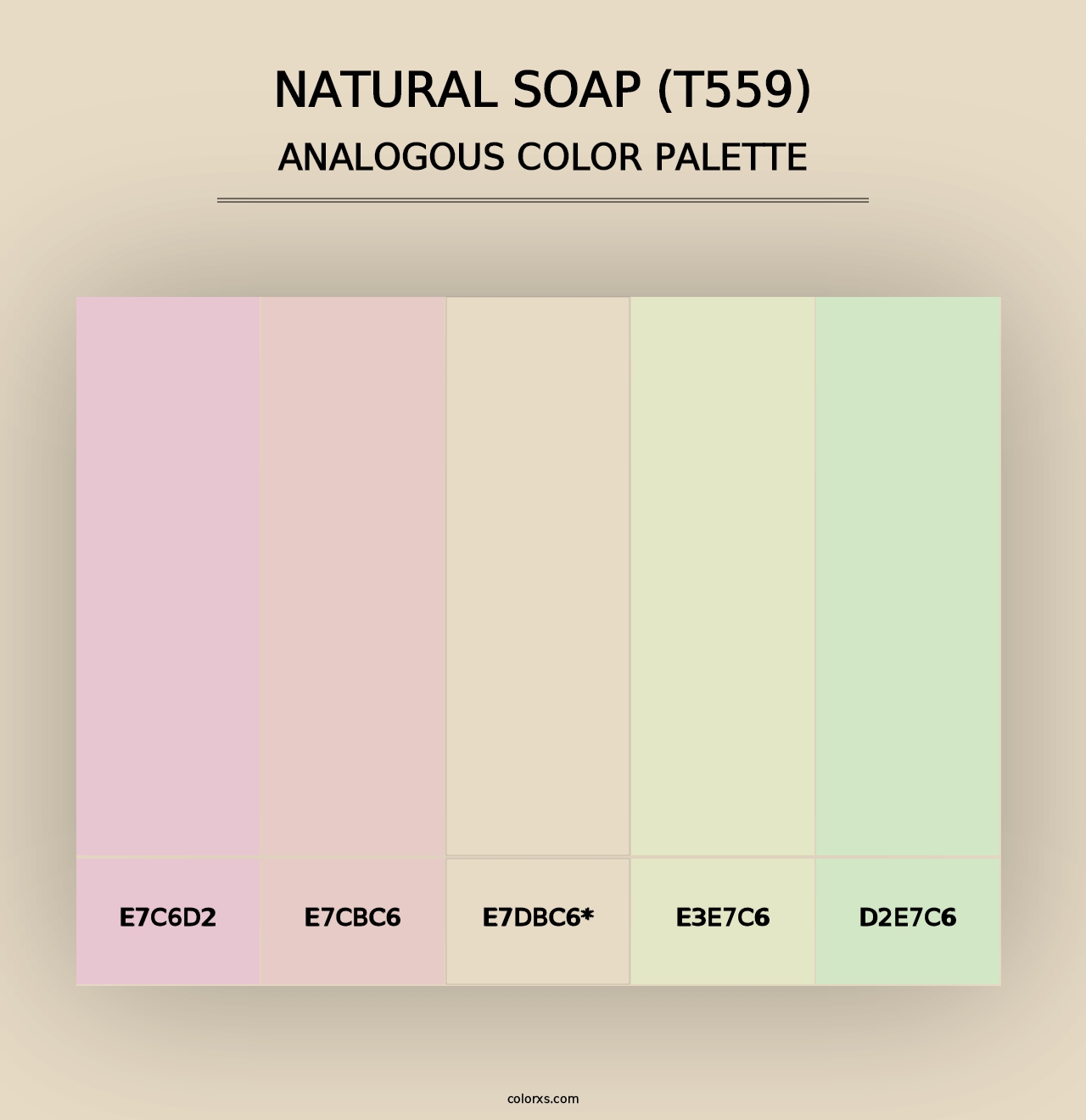 Natural Soap (T559) - Analogous Color Palette