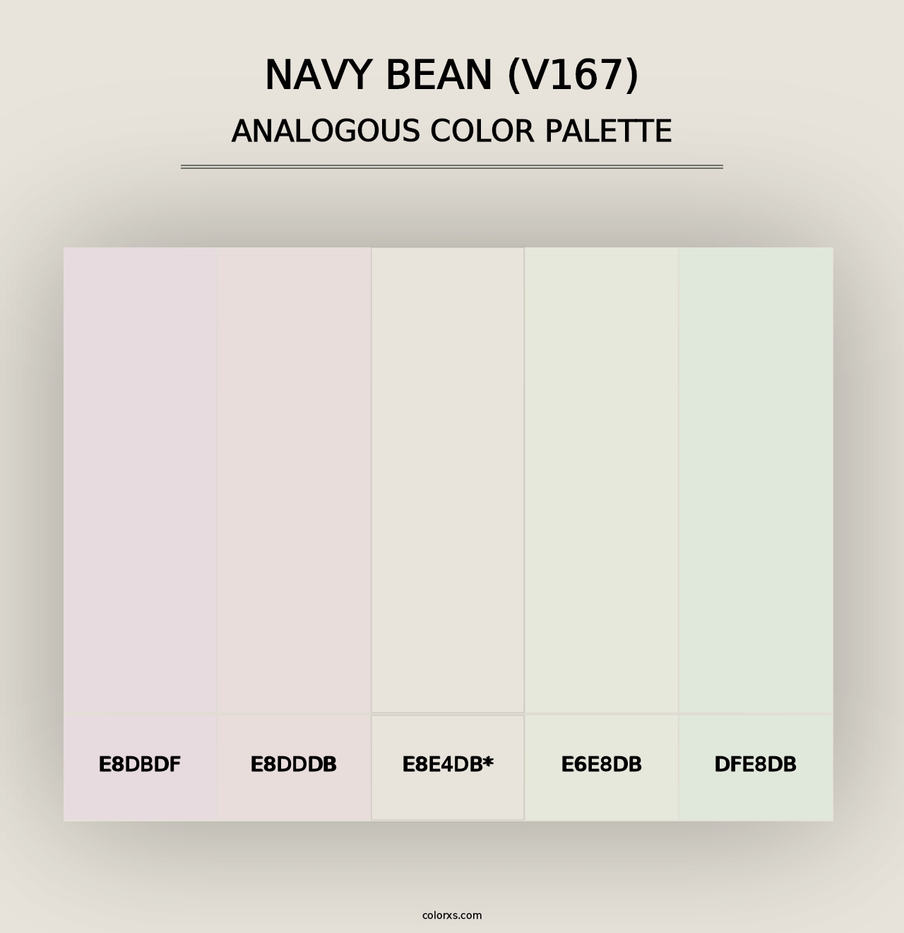 Navy Bean (V167) - Analogous Color Palette