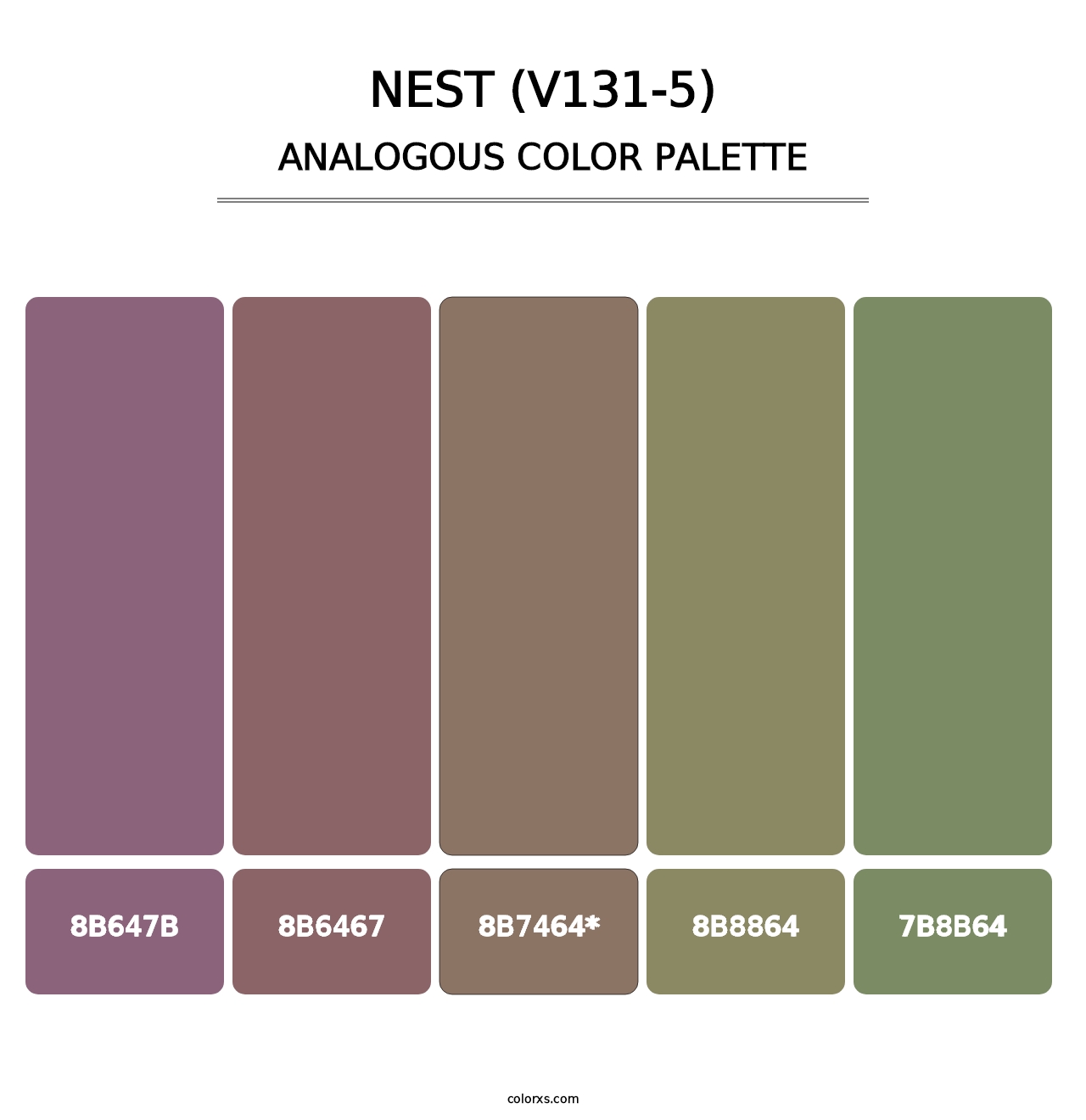 Nest (V131-5) - Analogous Color Palette