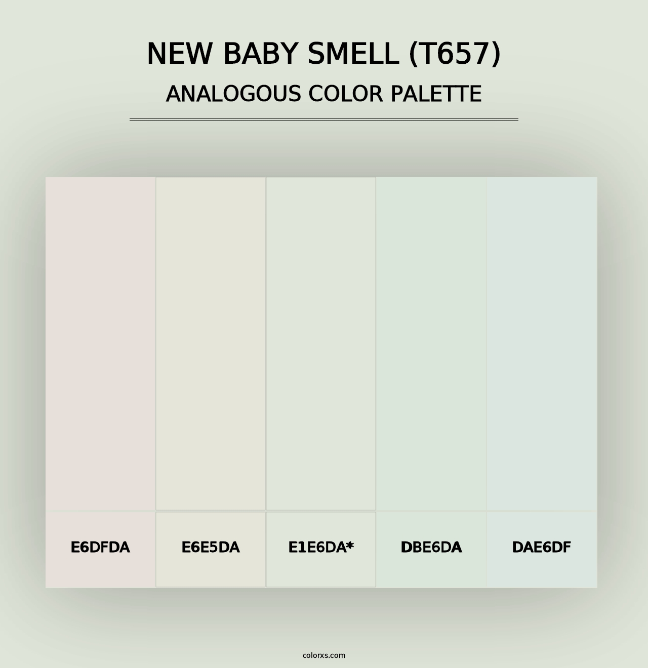 New Baby Smell (T657) - Analogous Color Palette