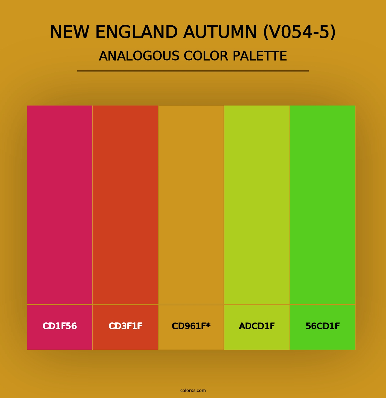 New England Autumn (V054-5) - Analogous Color Palette