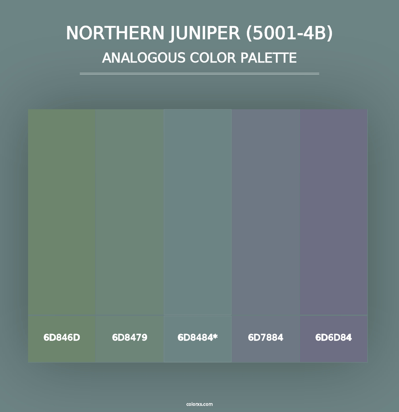 Northern Juniper (5001-4B) - Analogous Color Palette