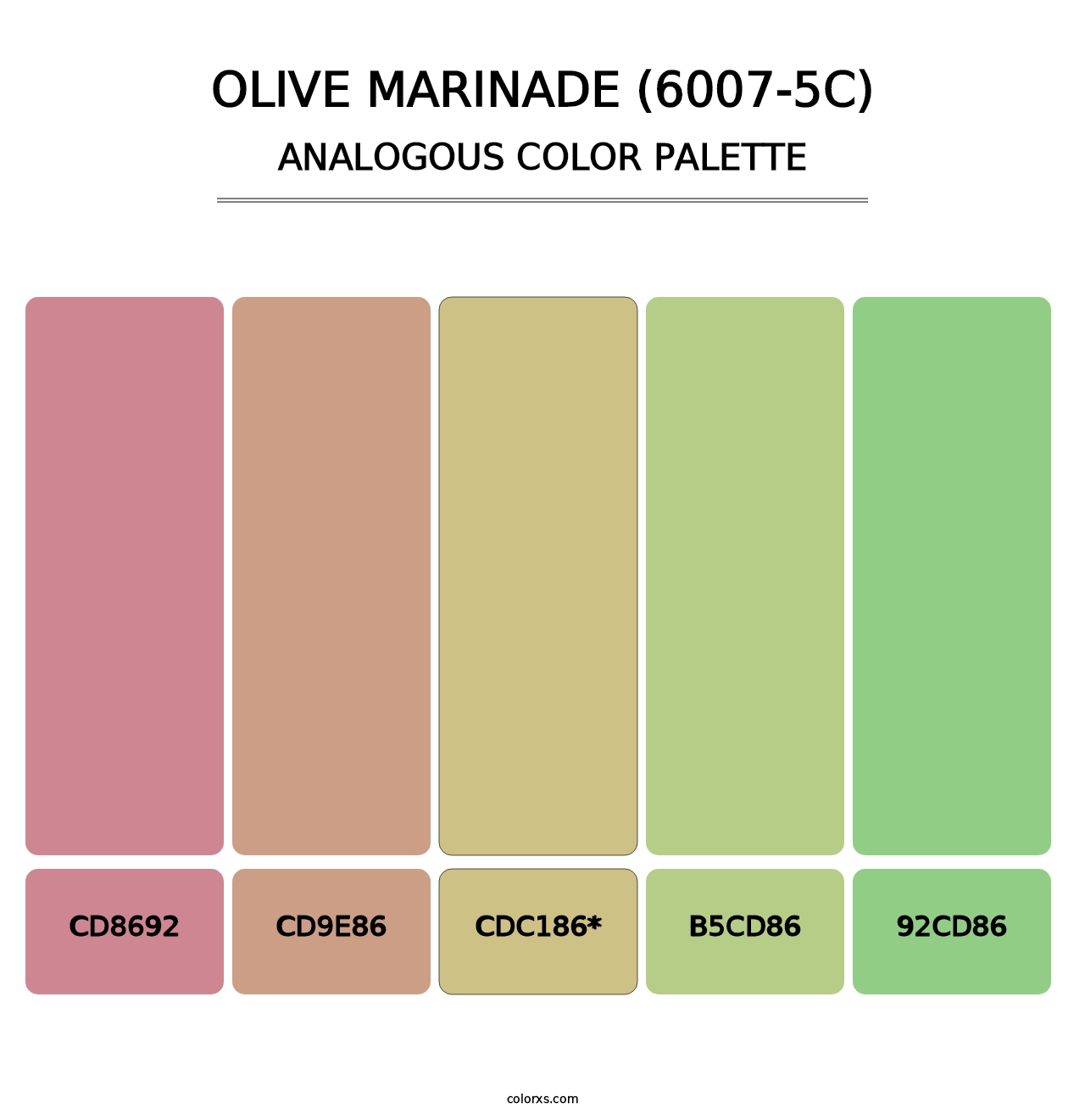 Olive Marinade (6007-5C) - Analogous Color Palette