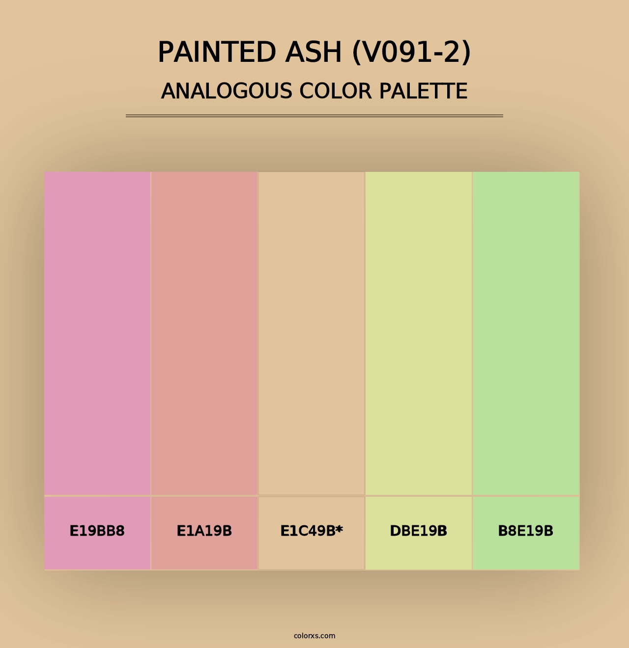 Painted Ash (V091-2) - Analogous Color Palette