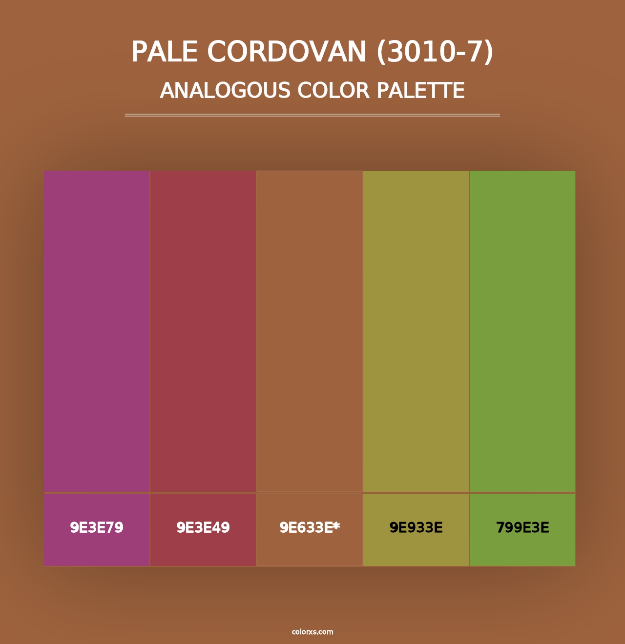 Pale Cordovan (3010-7) - Analogous Color Palette