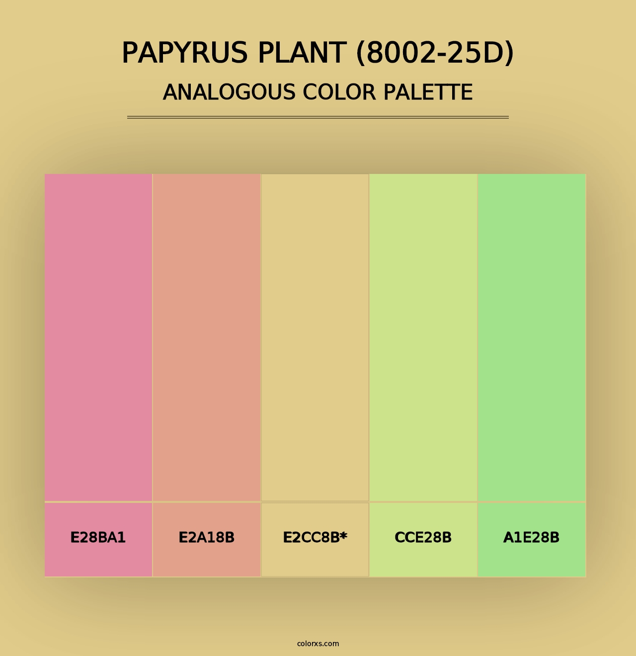 Papyrus Plant (8002-25D) - Analogous Color Palette