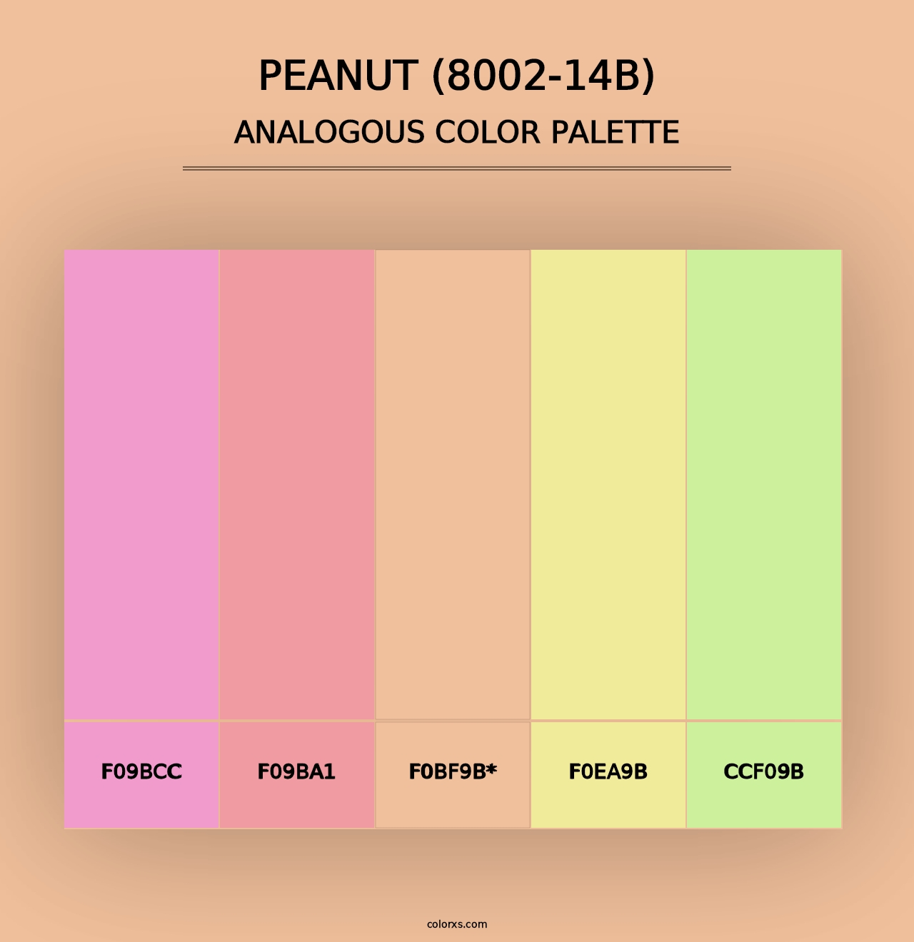 Peanut (8002-14B) - Analogous Color Palette