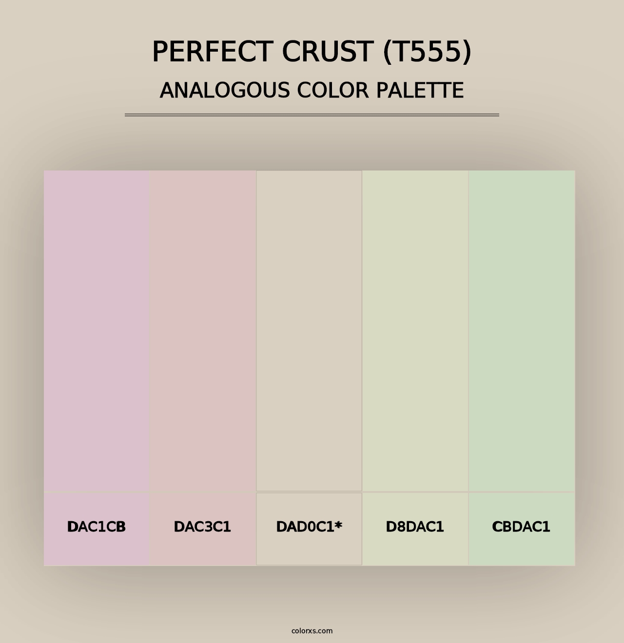 Perfect Crust (T555) - Analogous Color Palette