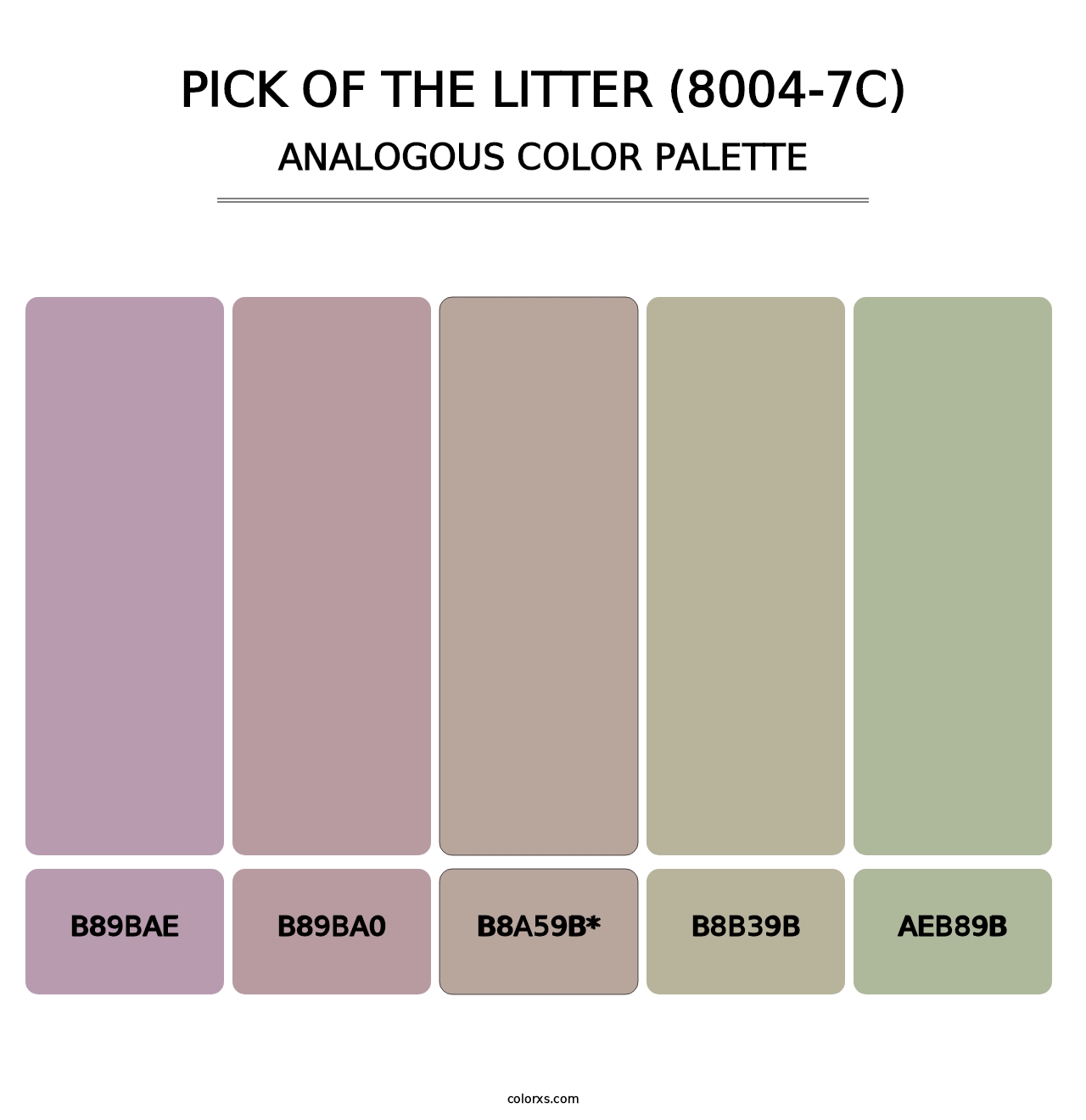 Pick of the Litter (8004-7C) - Analogous Color Palette