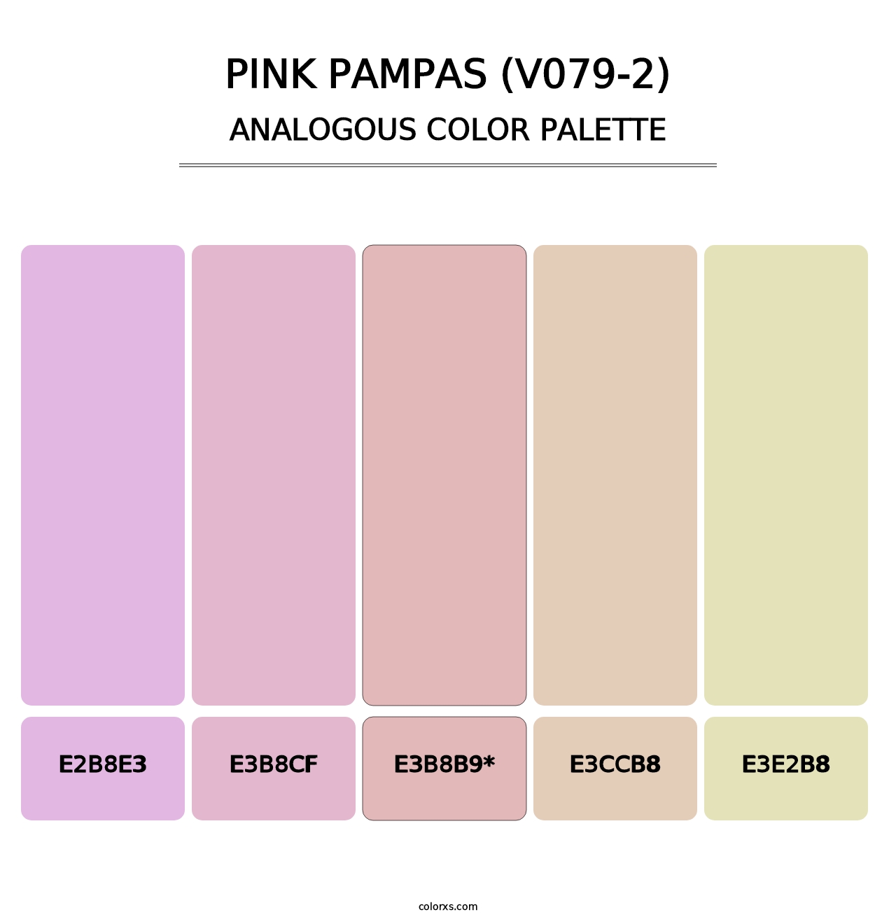 Pink Pampas (V079-2) - Analogous Color Palette