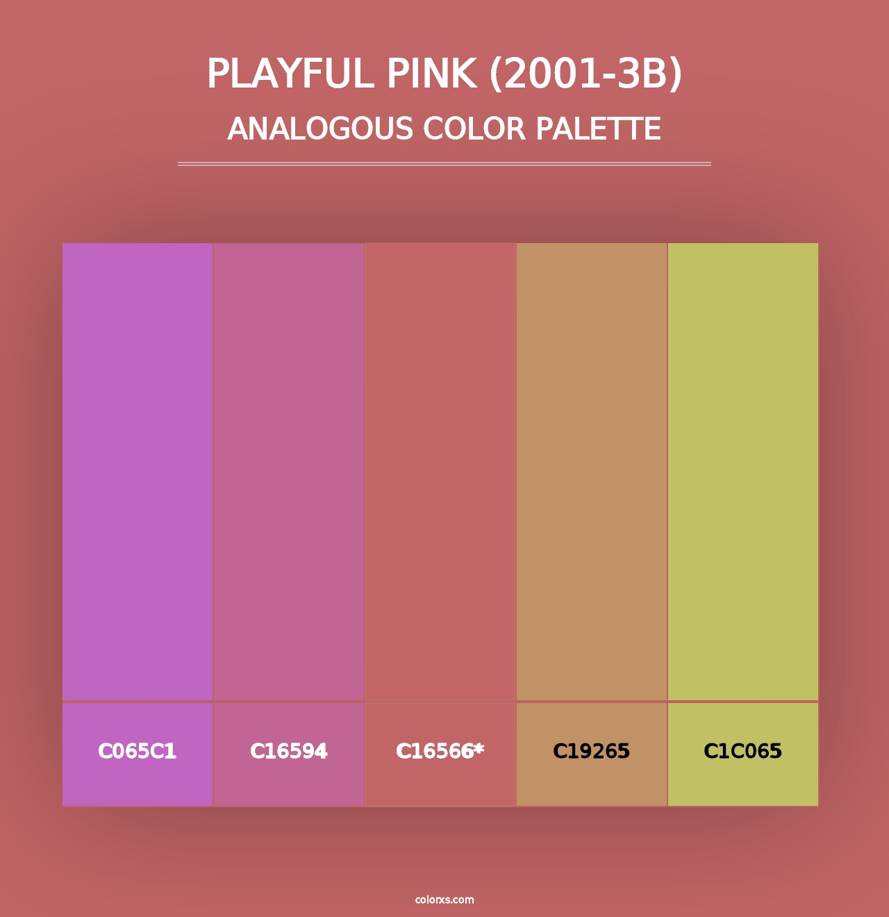 Playful Pink (2001-3B) - Analogous Color Palette