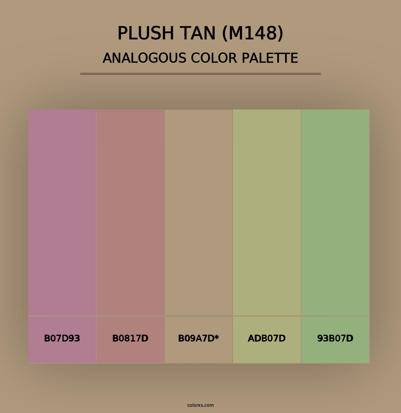 Plush Tan (M148) - Analogous Color Palette