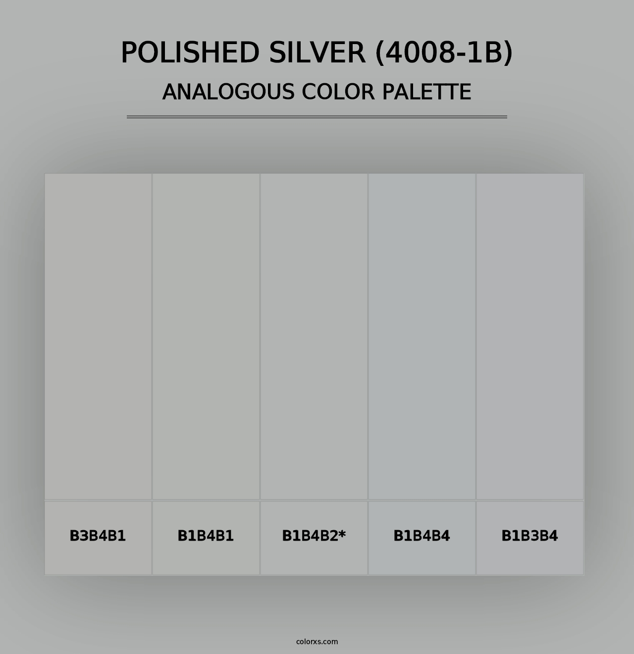 Polished Silver (4008-1B) - Analogous Color Palette