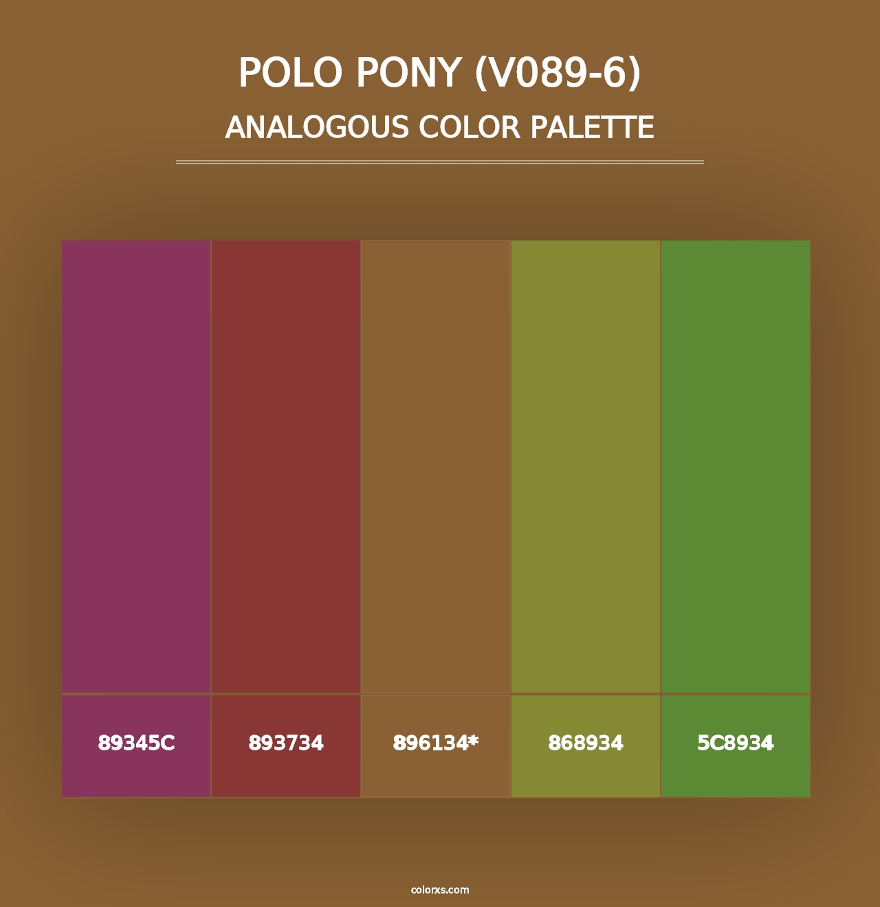 Polo Pony (V089-6) - Analogous Color Palette