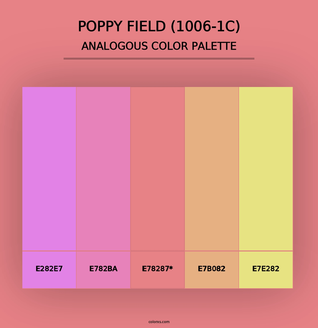 Poppy Field (1006-1C) - Analogous Color Palette