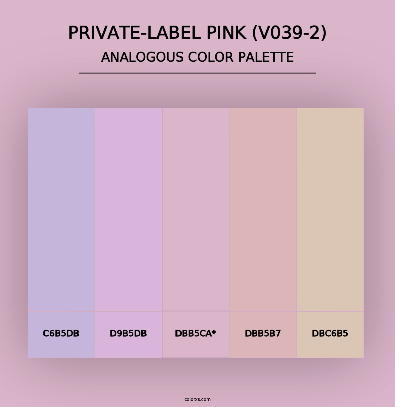 Private-Label Pink (V039-2) - Analogous Color Palette