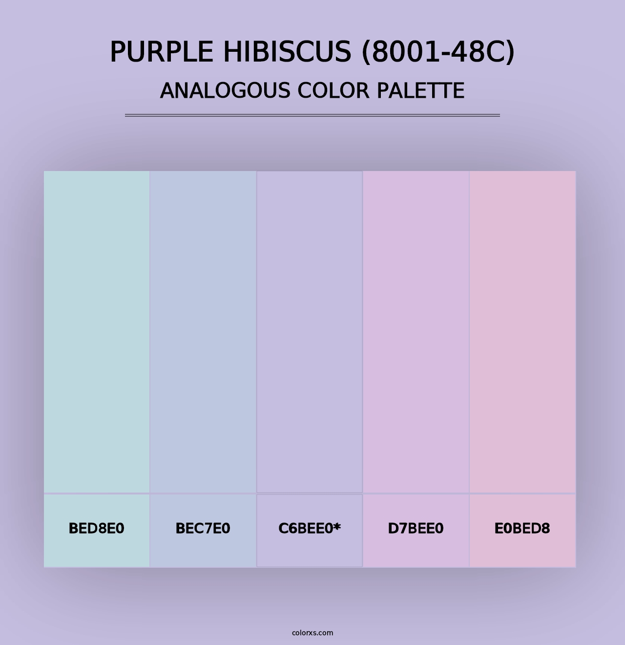 Purple Hibiscus (8001-48C) - Analogous Color Palette