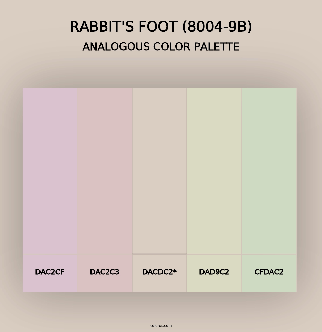 Rabbit's Foot (8004-9B) - Analogous Color Palette