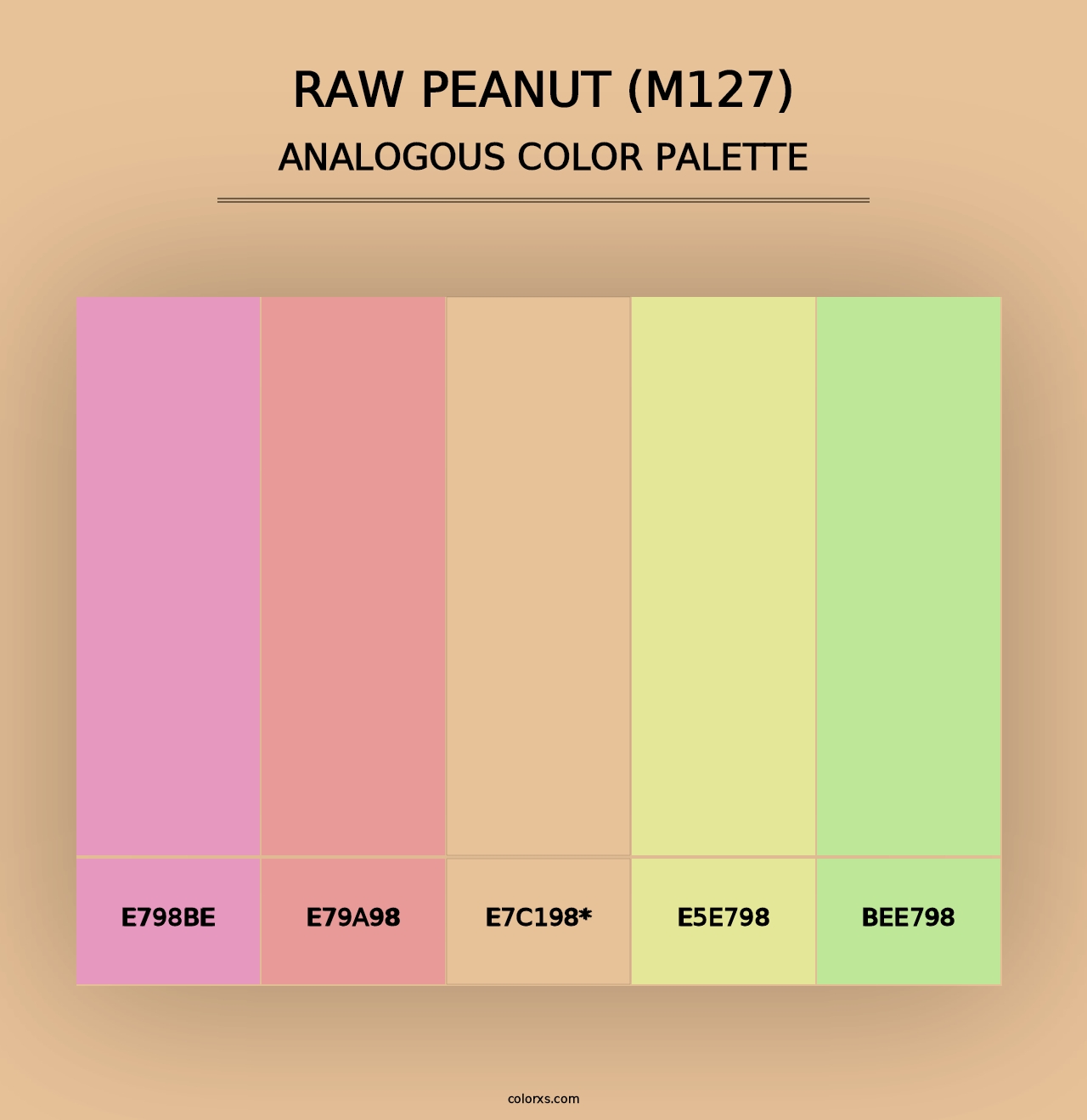 Raw Peanut (M127) - Analogous Color Palette