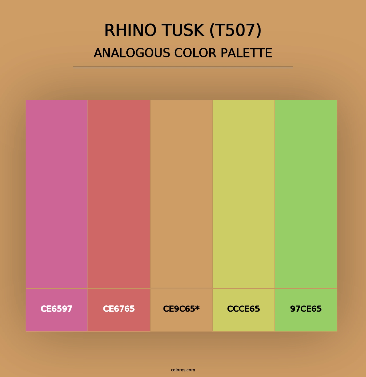 Rhino Tusk (T507) - Analogous Color Palette