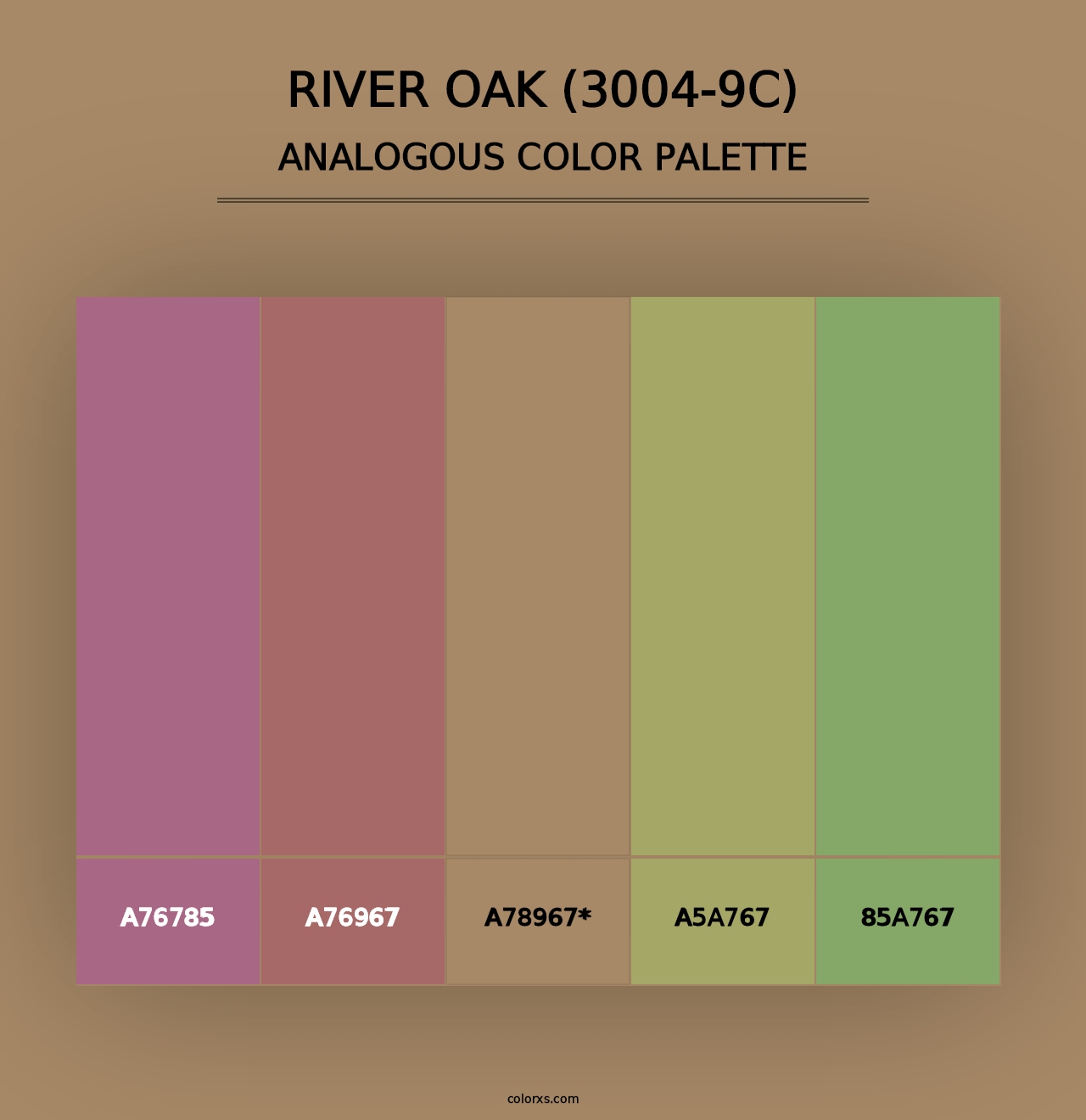 River Oak (3004-9C) - Analogous Color Palette