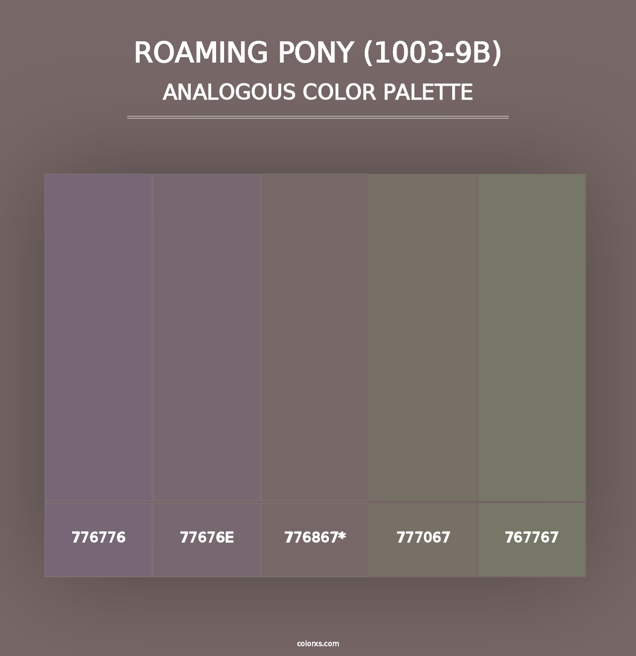 Roaming Pony (1003-9B) - Analogous Color Palette