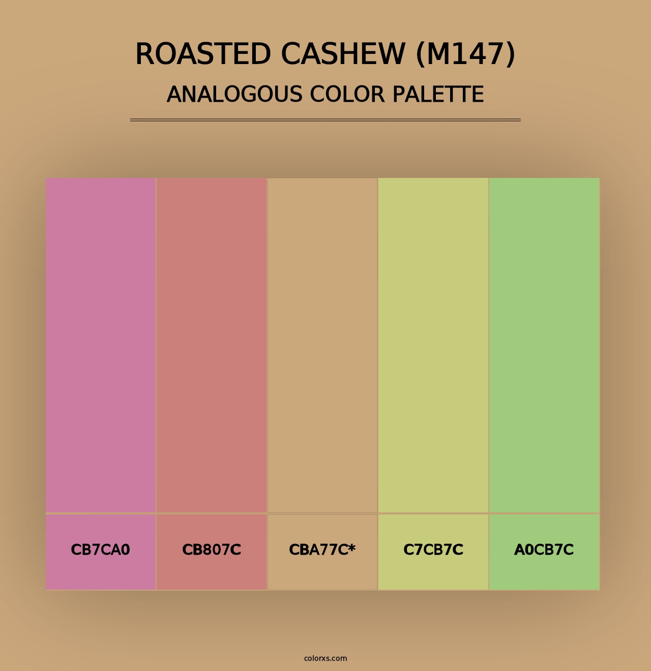 Roasted Cashew (M147) - Analogous Color Palette