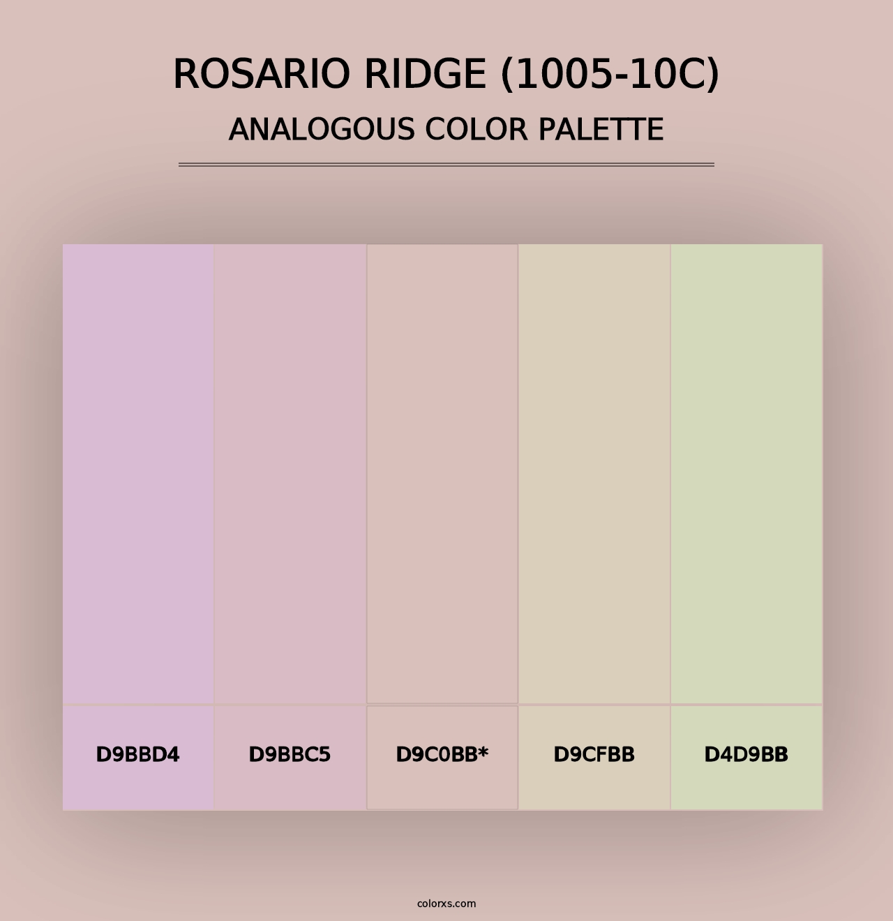 Rosario Ridge (1005-10C) - Analogous Color Palette