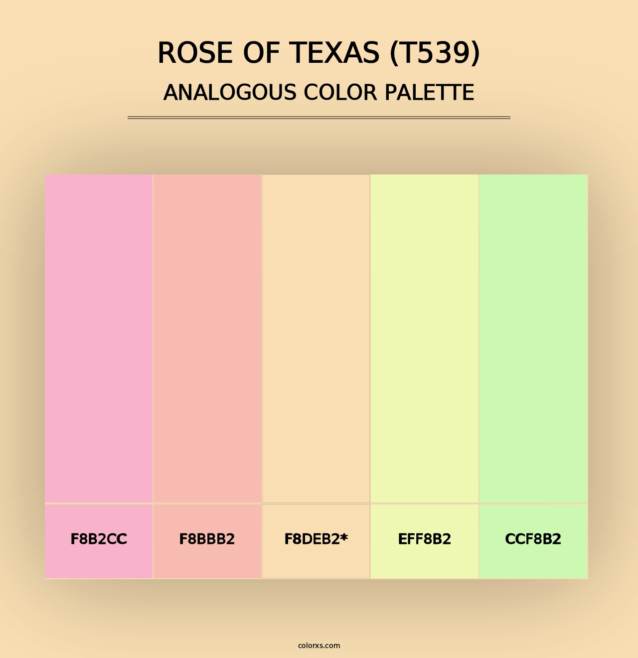 Rose of Texas (T539) - Analogous Color Palette