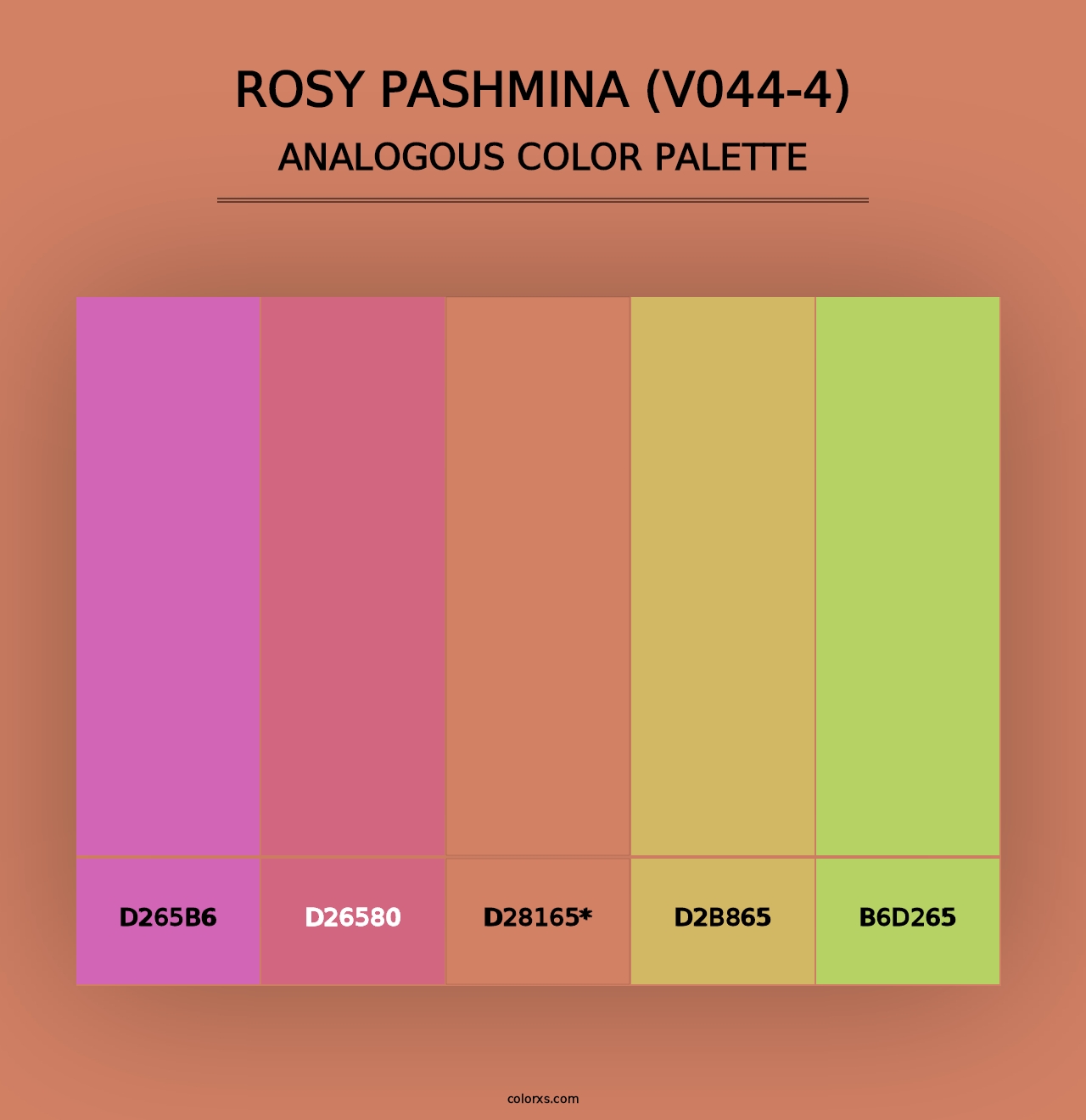 Rosy Pashmina (V044-4) - Analogous Color Palette