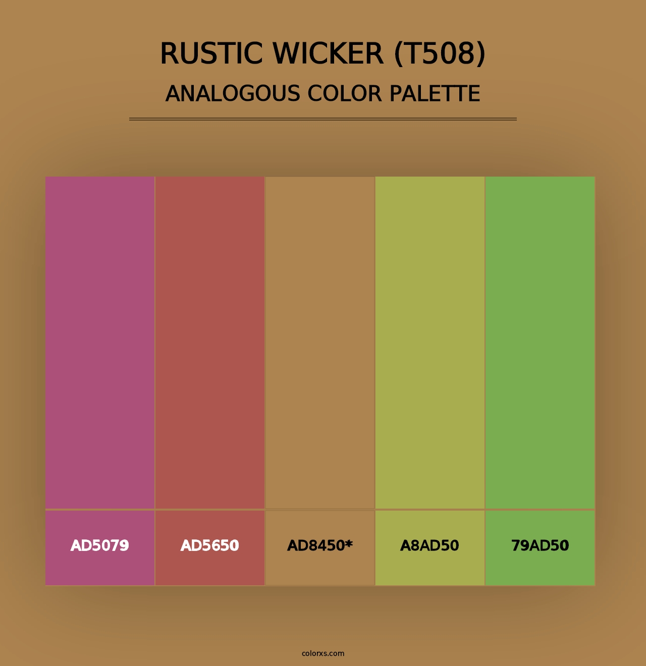 Rustic Wicker (T508) - Analogous Color Palette