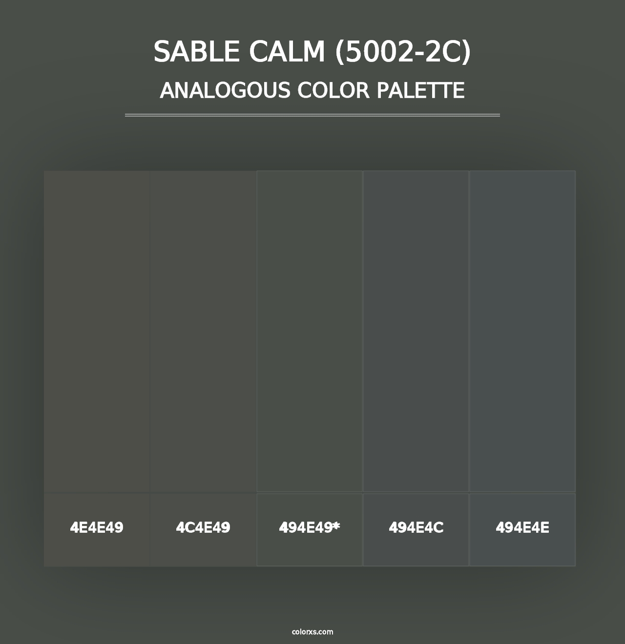 Sable Calm (5002-2C) - Analogous Color Palette