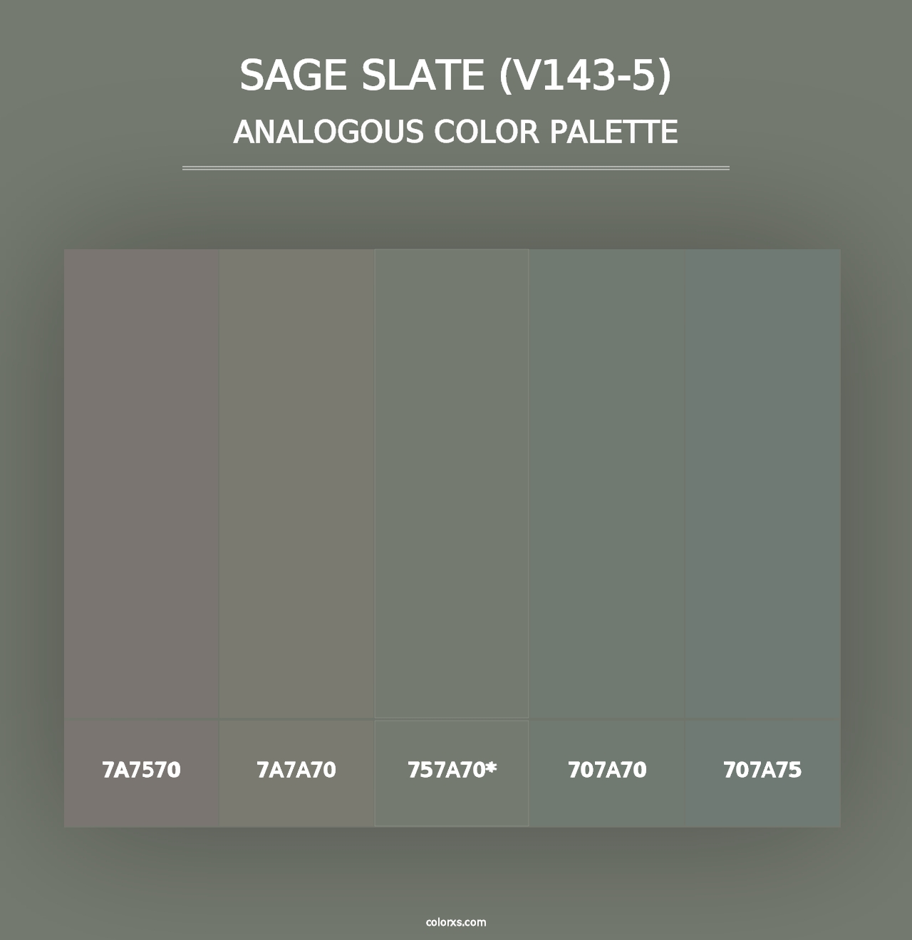 Sage Slate (V143-5) - Analogous Color Palette