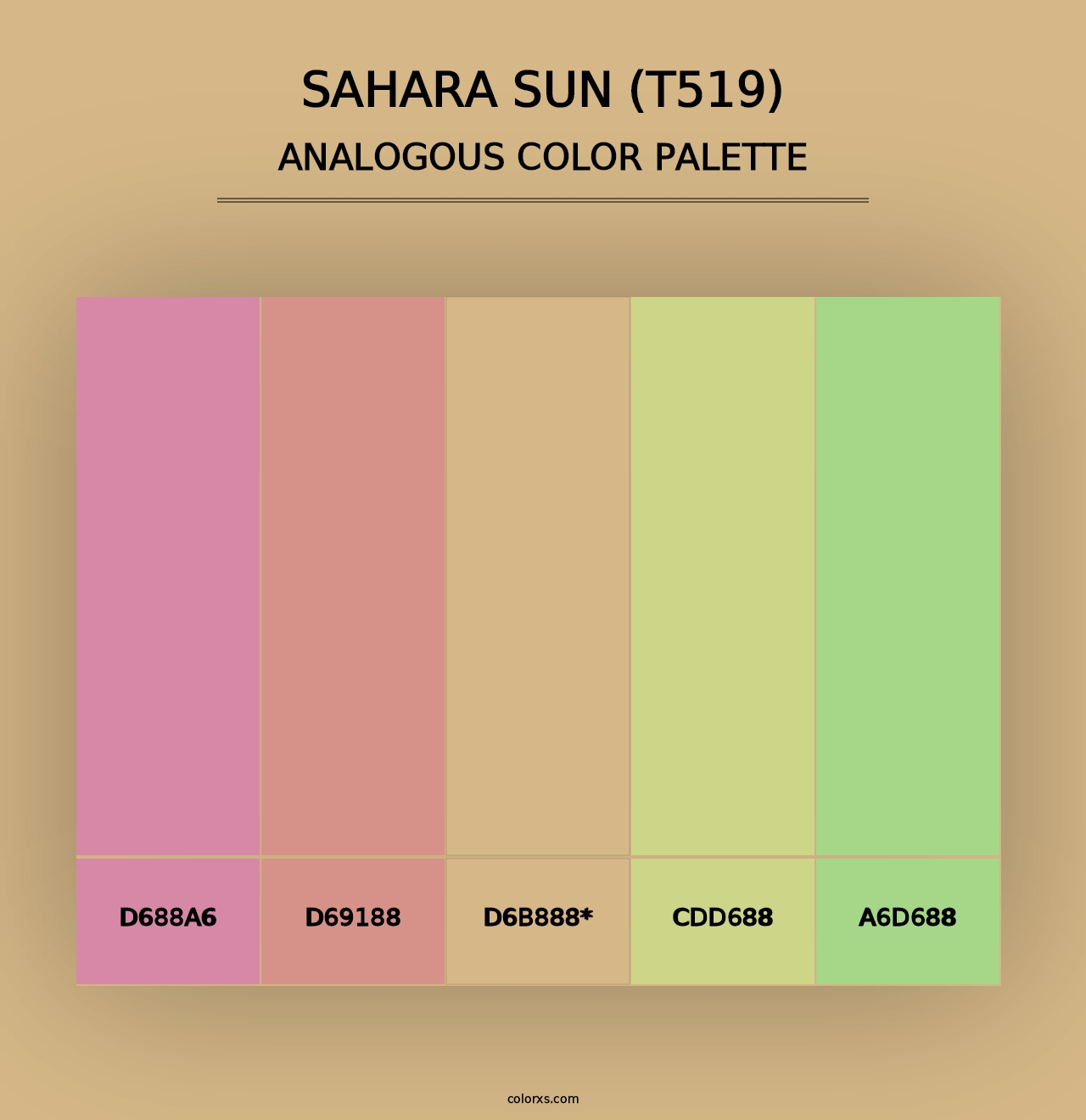 Sahara Sun (T519) - Analogous Color Palette