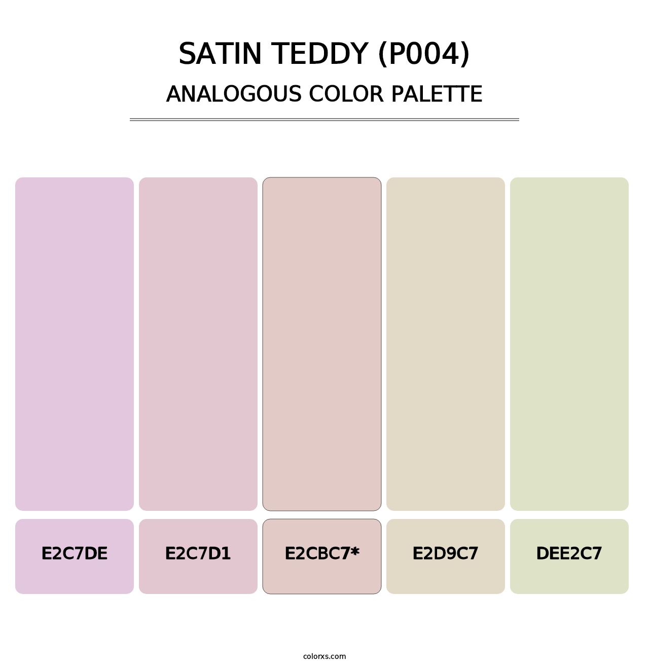 Satin Teddy (P004) - Analogous Color Palette