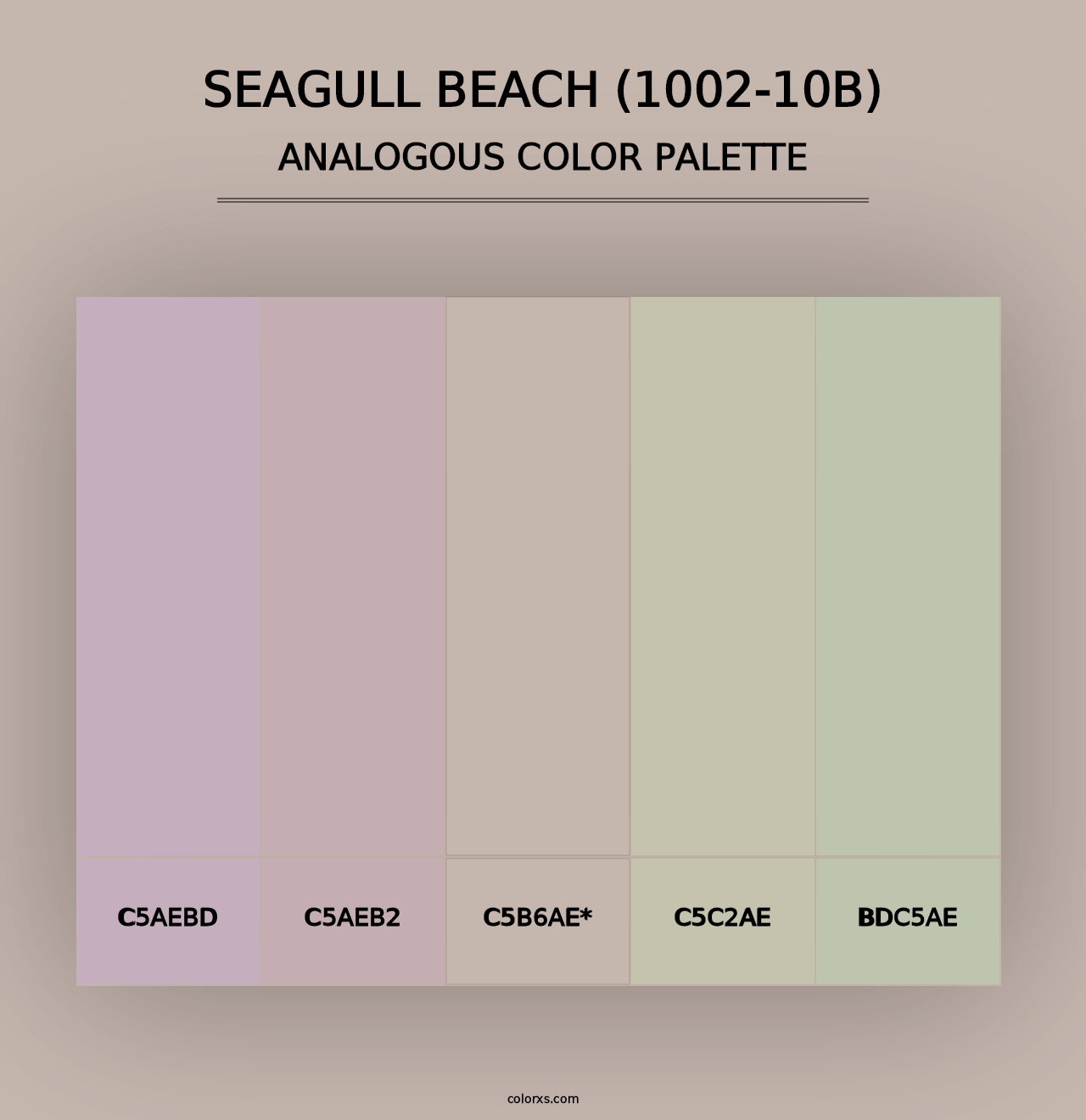 Seagull Beach (1002-10B) - Analogous Color Palette