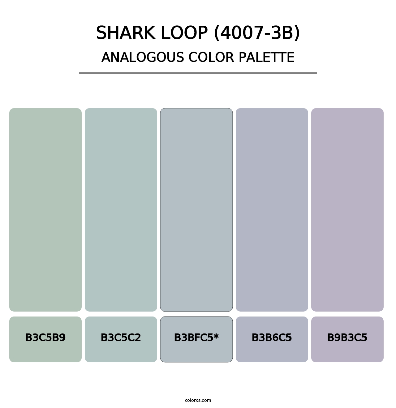 Shark Loop (4007-3B) - Analogous Color Palette