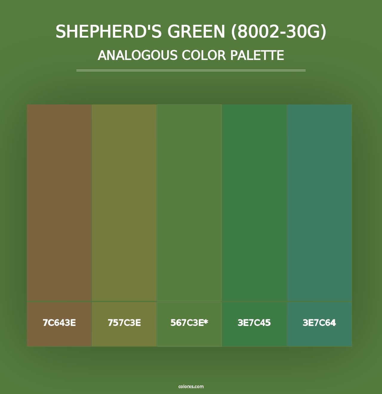 Shepherd's Green (8002-30G) - Analogous Color Palette