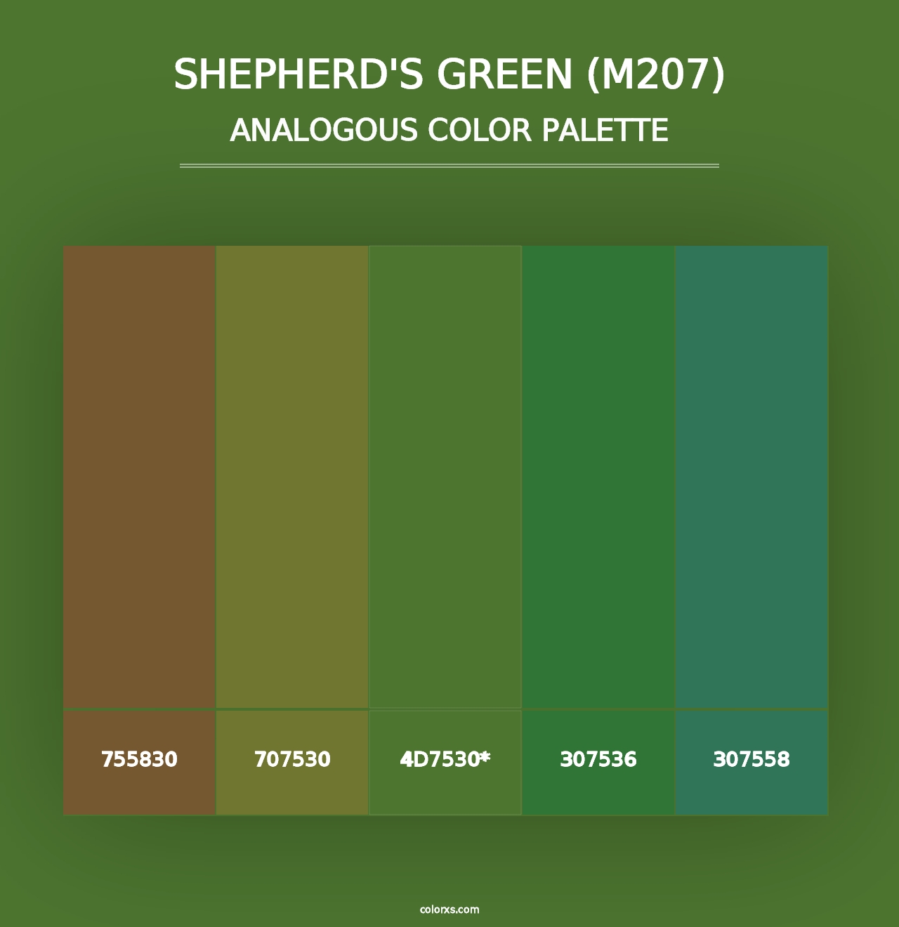 Shepherd's Green (M207) - Analogous Color Palette